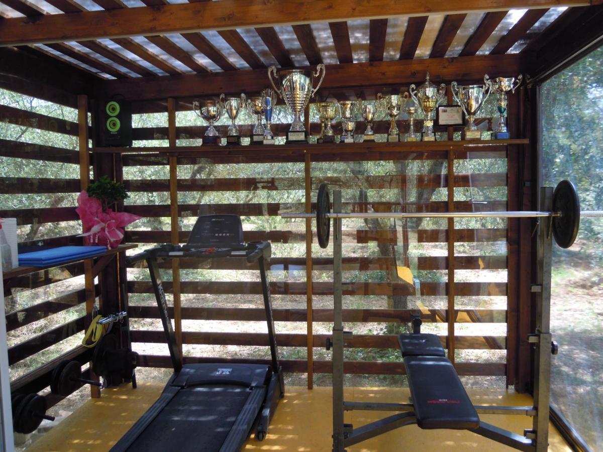 Apartamento Fontemaggio Colle di Val d'Elsa Exterior foto