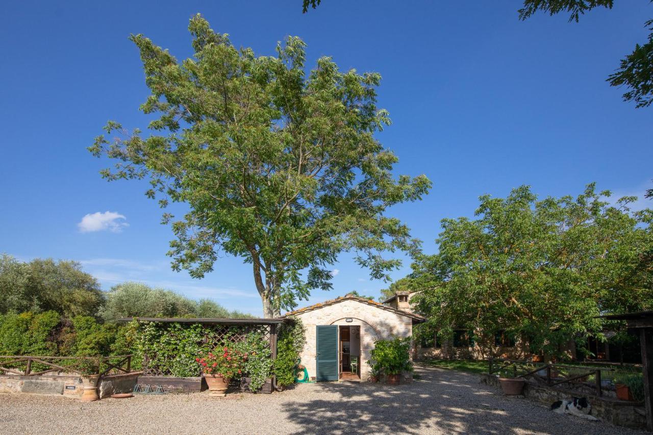 Apartamento Fontemaggio Colle di Val d'Elsa Exterior foto
