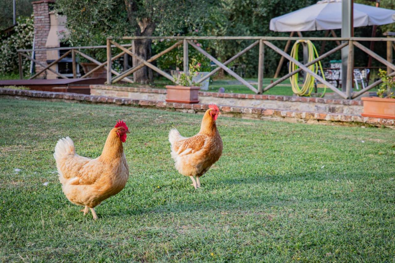 Apartamento Fontemaggio Colle di Val d'Elsa Exterior foto